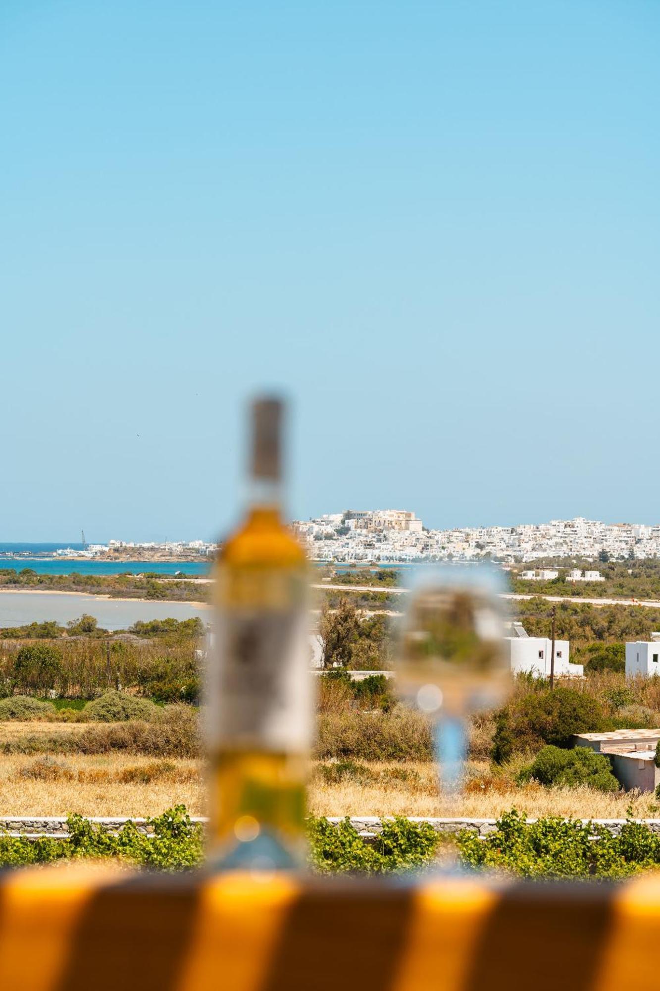 Sunday Luxury Suites Agia Anna  Extérieur photo