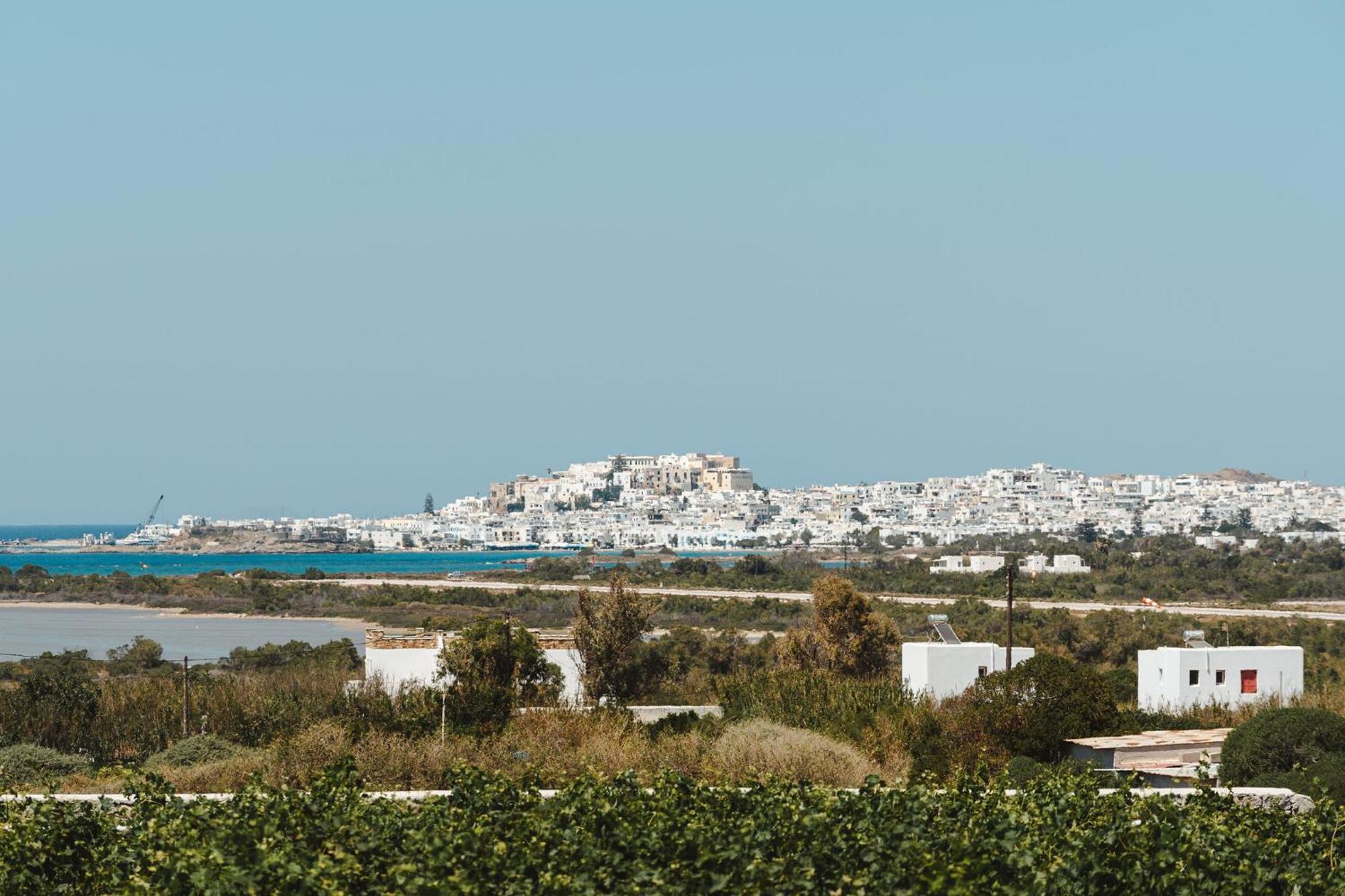 Sunday Luxury Suites Agia Anna  Extérieur photo